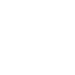 Chiropractic Care Icon