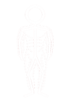 Physiotherapy Edmonton - White Icon - Human Integrated Performance